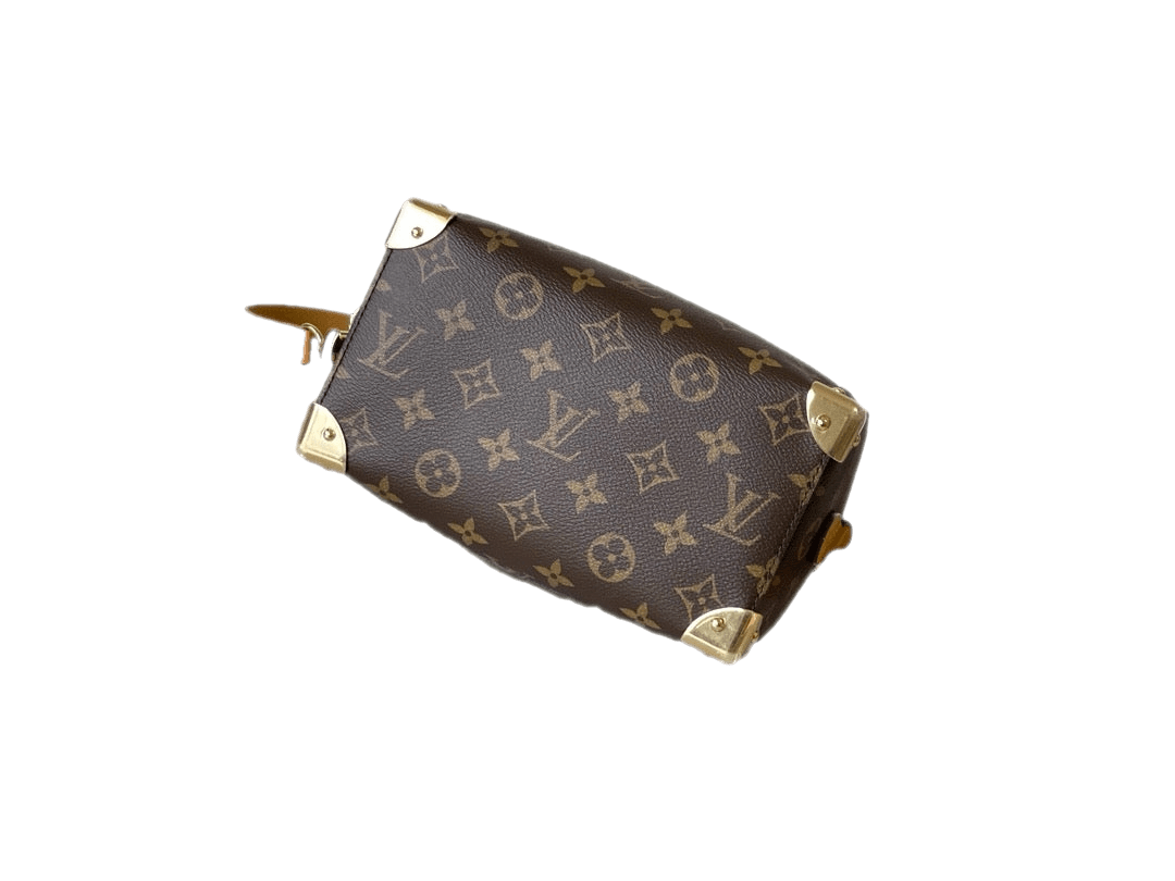 Authentic Louis Vuitton Monogram Speedy Bandoulière 20 Exclusive Apparel